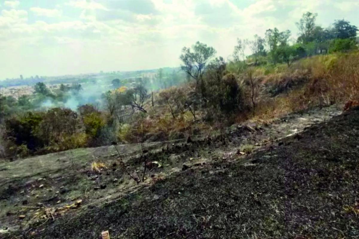 Os números atingiram esse pico nas últimas semanas, com a elevação da temperatura e com o baixo índice de umidade do ar