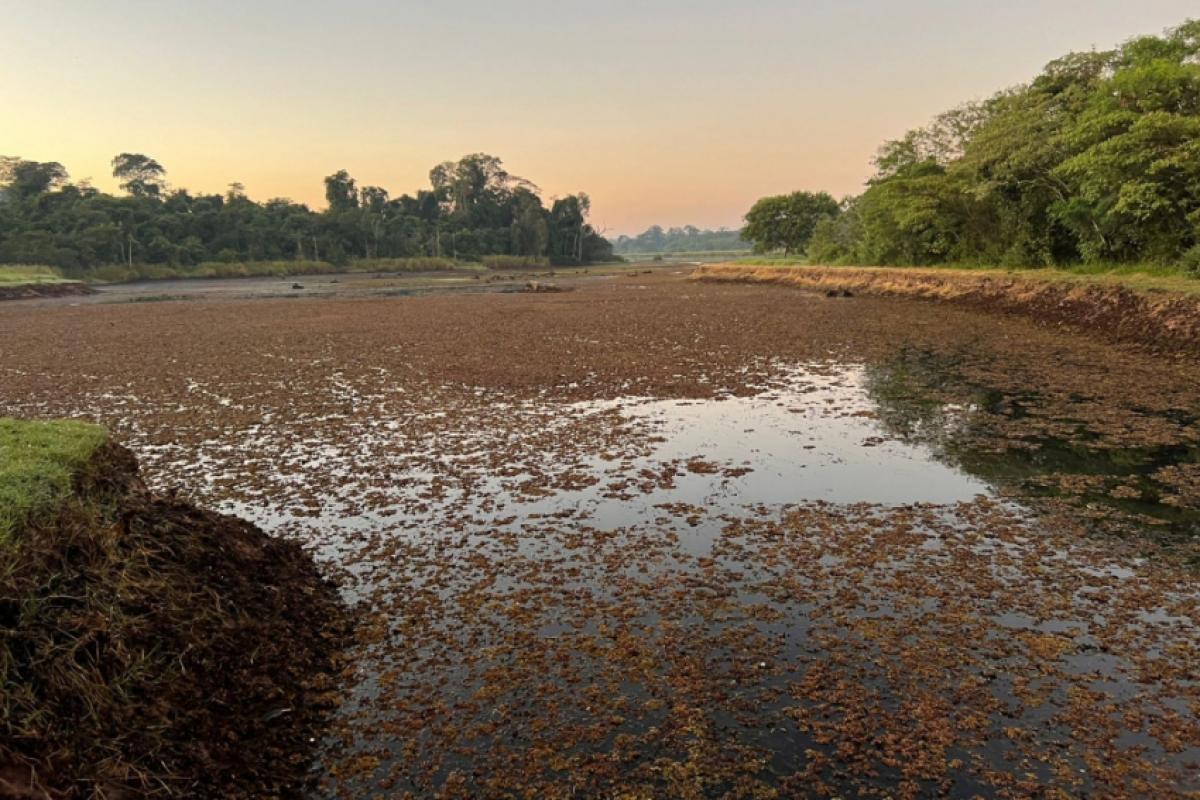 Nível do Rio Batalha está em 1,60 metros na tarde desta sexta-feira
