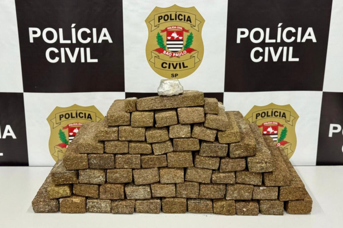 Foram apreendidos 60 tijolos de maconha, cada um pesando 1 kg