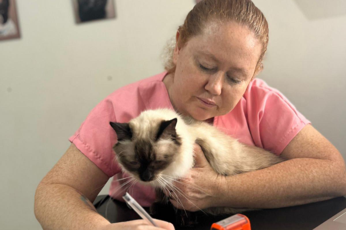 Ana Carolina Peroni Gomes deixou a aviação para realizar o sonho de ser veterinária, e hoje atua com clínica e cirurgia de cães e gatos.