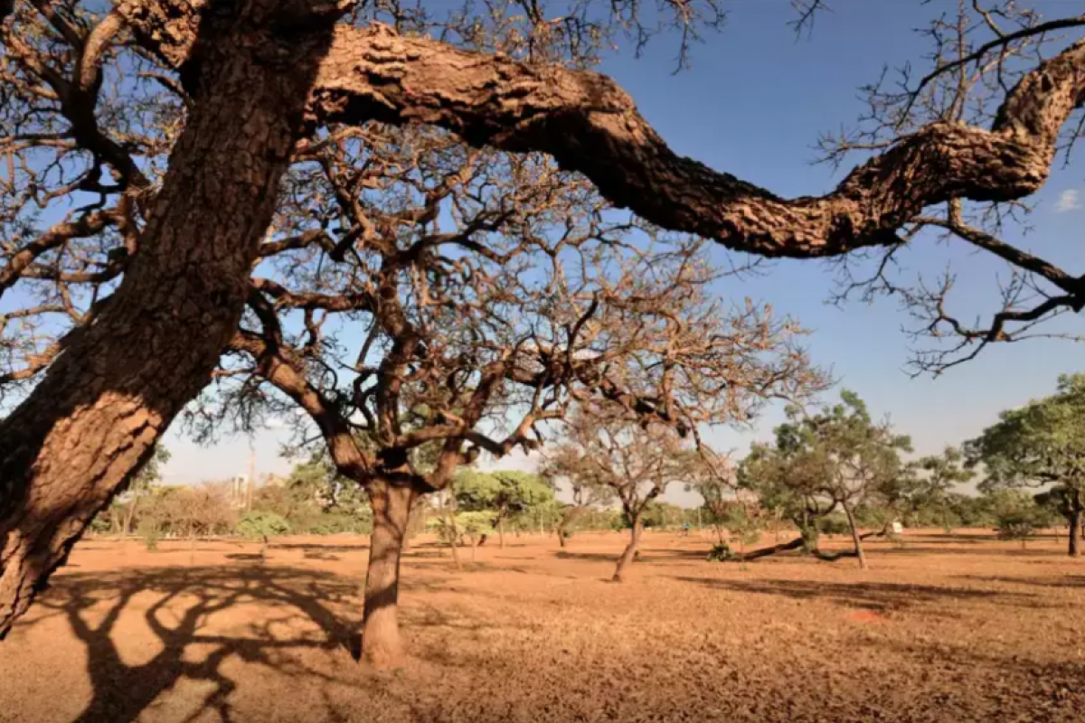 A Defesa Civil registrou apenas 7% de umidade relativa do ar na cidade, índice semelhante ao encontrado no Saara e no Atacama.