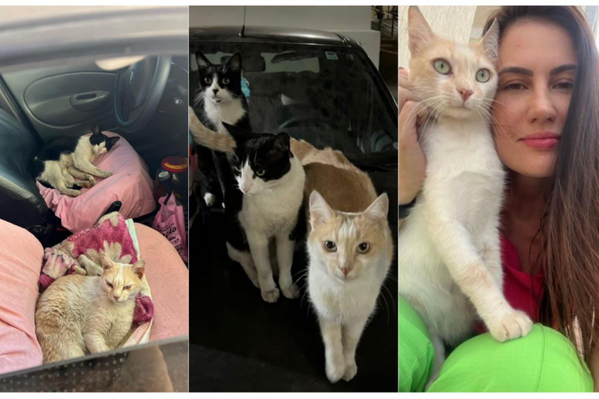 Ana Cláudia Forti Naime encontrou alternativa para driblar dificuldade