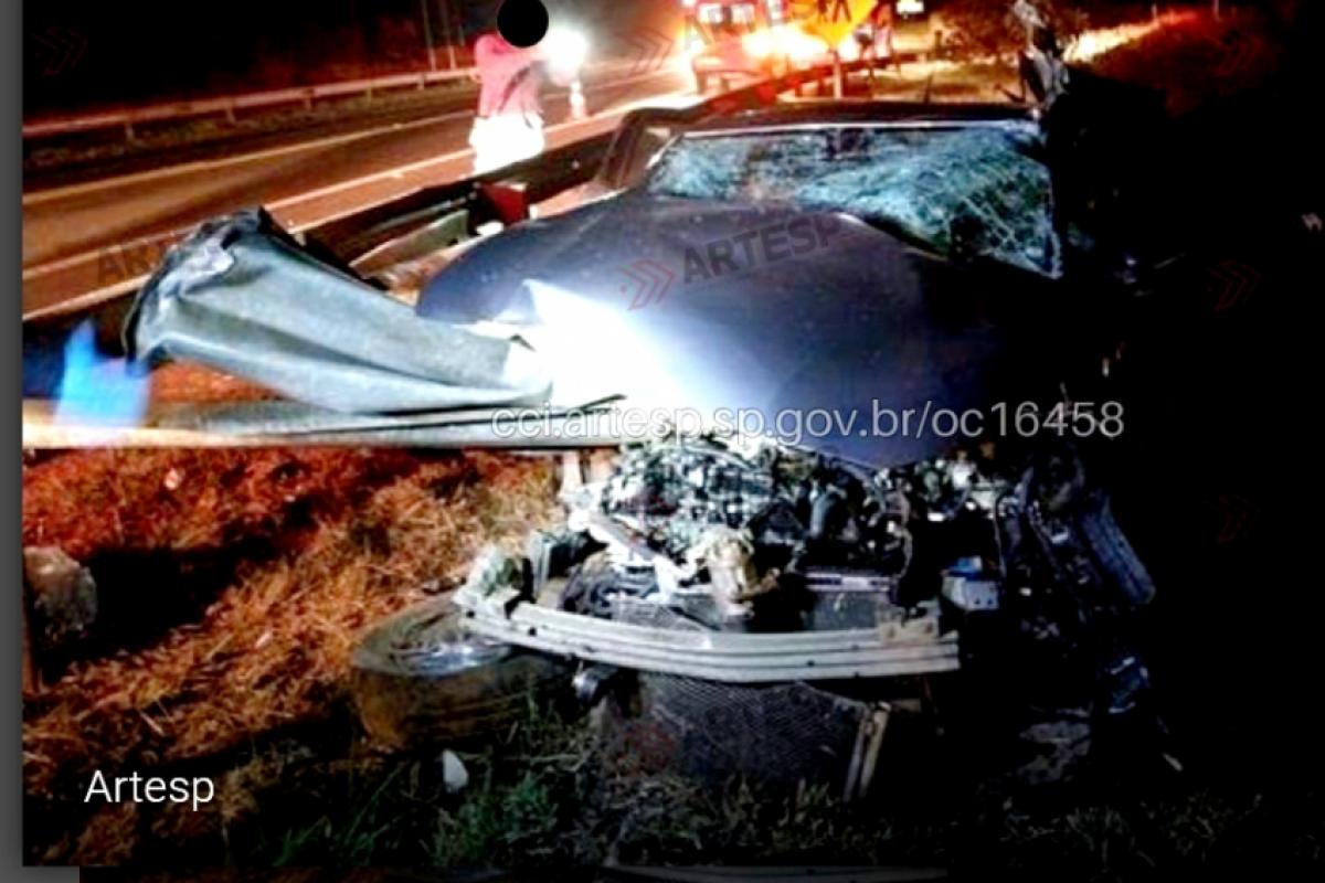 Com o impacto, a defensa metálica atravessou o carro da vítima.