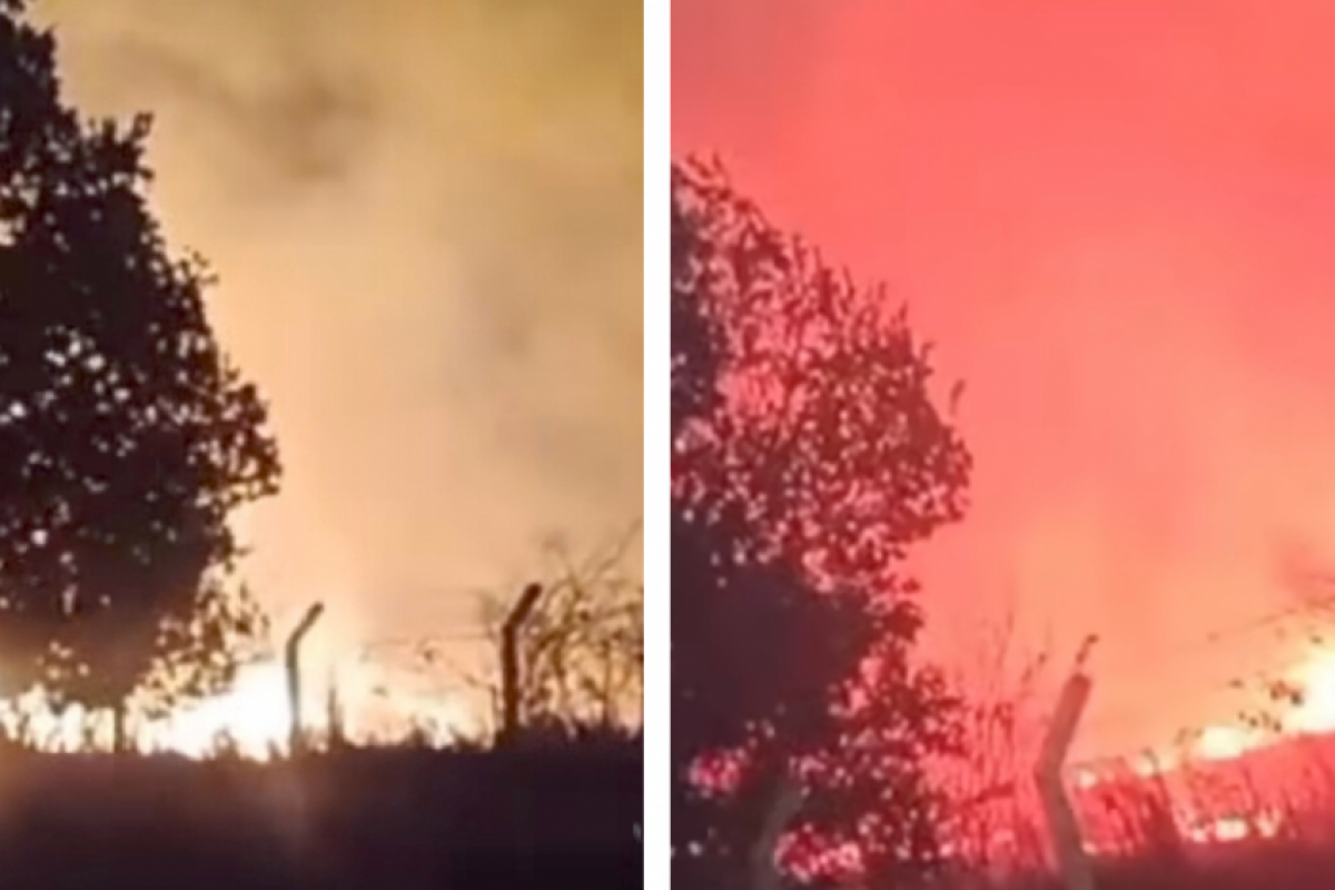 O fogo intenso atingiu áreas de mata e canaviais em Piracicaba. 