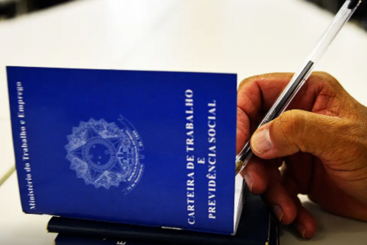 As oportunidades abrangem desde funções que exigem apenas alfabetização até cargos para profissionais com formação técnica ou superior