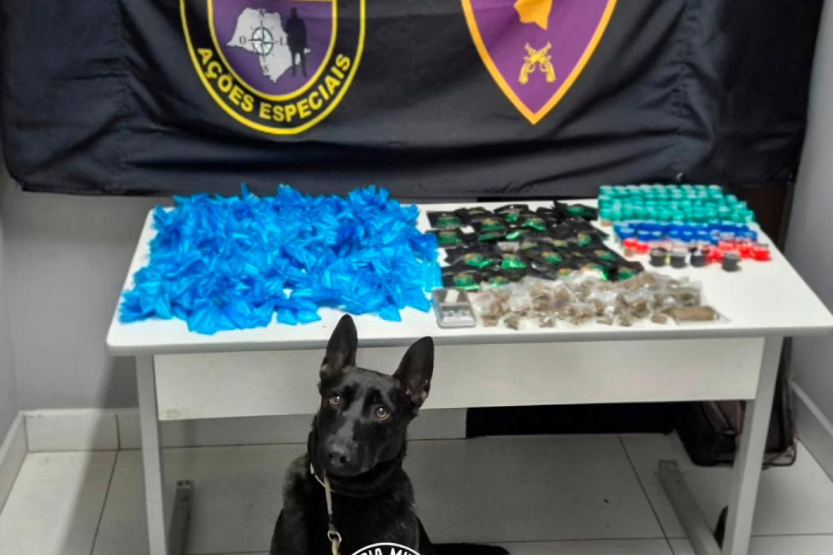 Cão Anúbis e o material ilícito apreendido pela PM