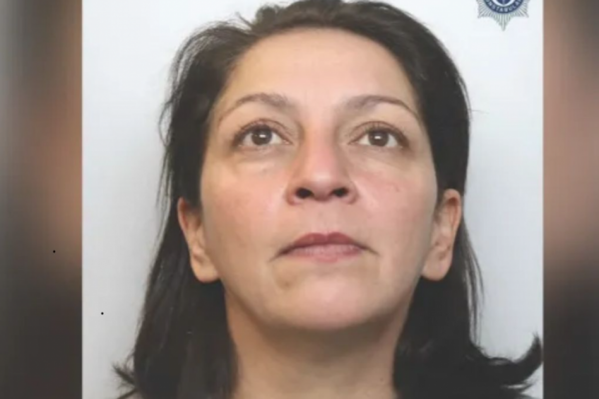 Segundo a polícia, o animal foi encontrado ainda no sofá, com a lâmina cravada no corpo.