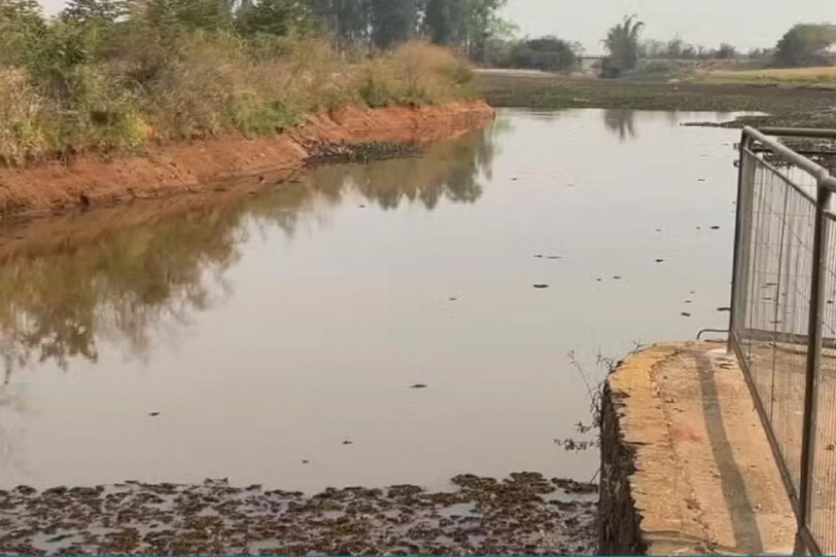 Ribeirão Baixotes em 2024