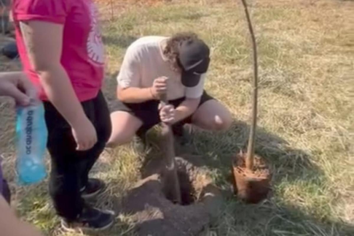 Ação em Araçatuba celebra Dia da Árvore e reforça compromisso ambiental