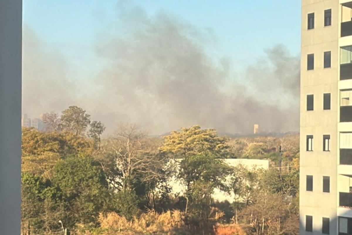 Clima seco também ajuda a proliferar incêndios