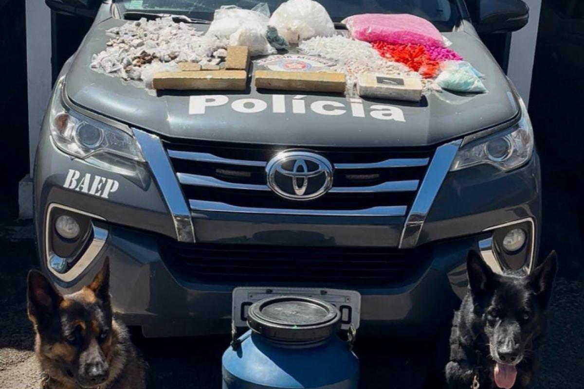 Cães detectores participam de ação em Ubatuba