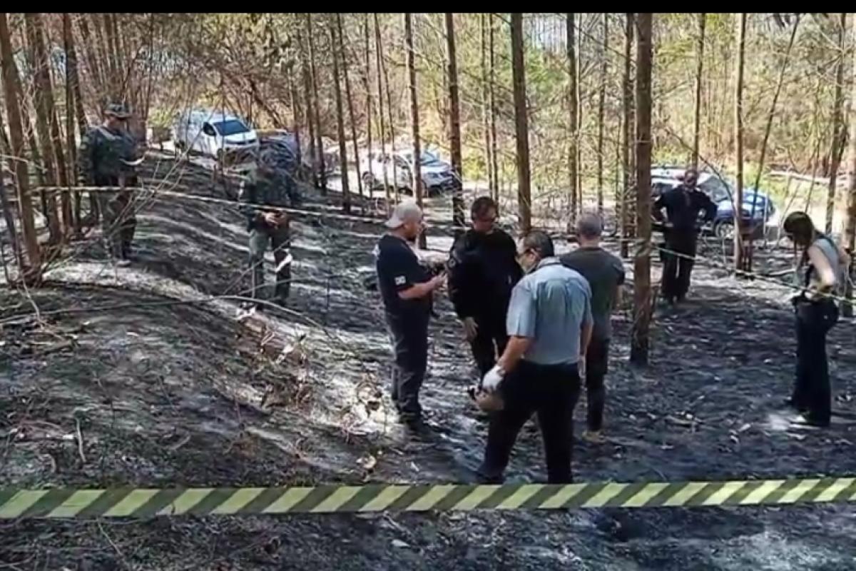 As ossadas foram encontradas em uma área de mata.