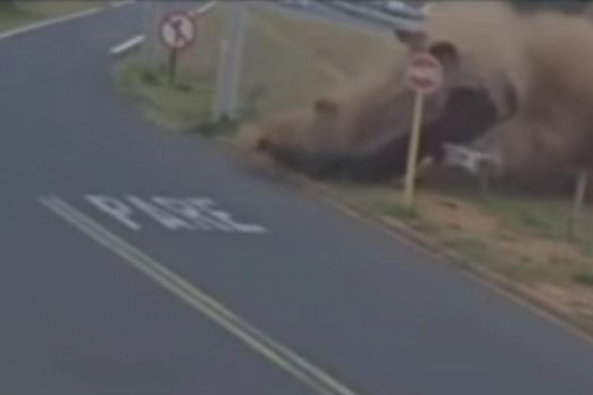 Carro capotou, derrubou poste de sinalização e foi parar no acesso a um bairro