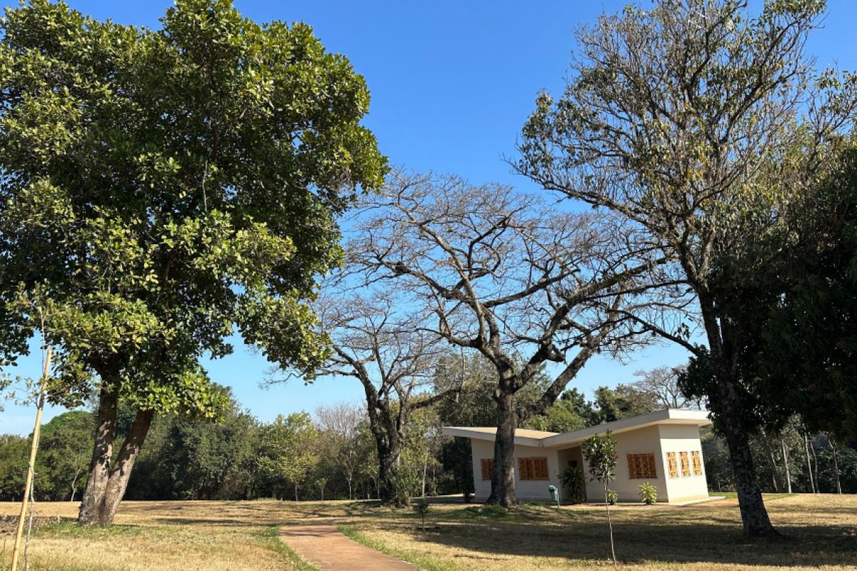 O evento, que acontece no Jardim Botânico, celebra as crianças nascidas na cidade entre 1º de janeiro e 30 de junho de 2025