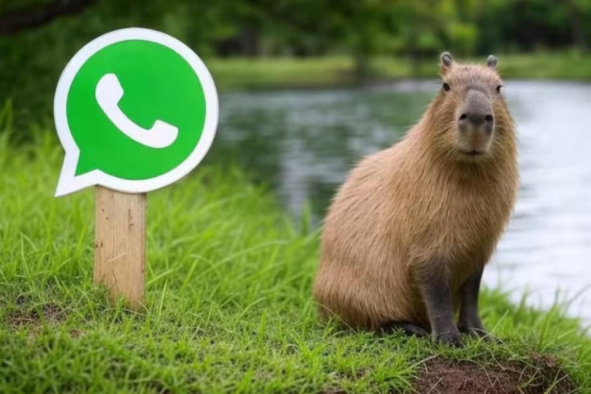 Essa função proporciona uma experiência única, divertida e interativa diretamente no WhatsApp