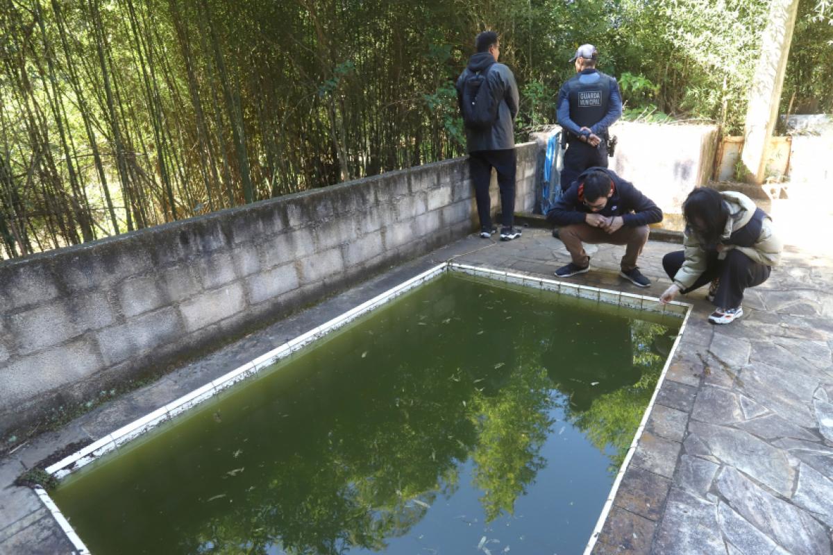 reforça o combate ao Aedes aegypti em 25 bairros e atualiza balanço da vacinação contra a dengue em crianças e adolescentes.