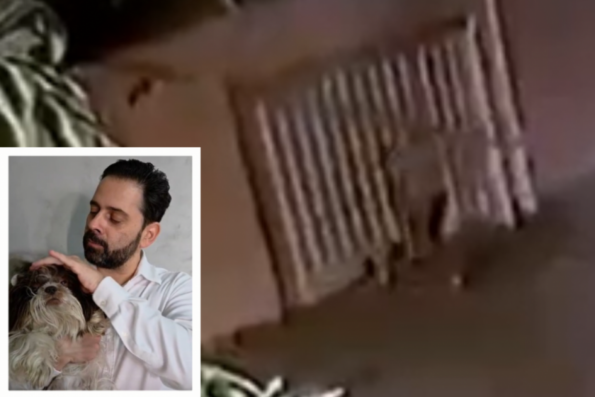 Theo, com seu tutor Lucas, e o dia em que o furto aconteceu na porta da residência 