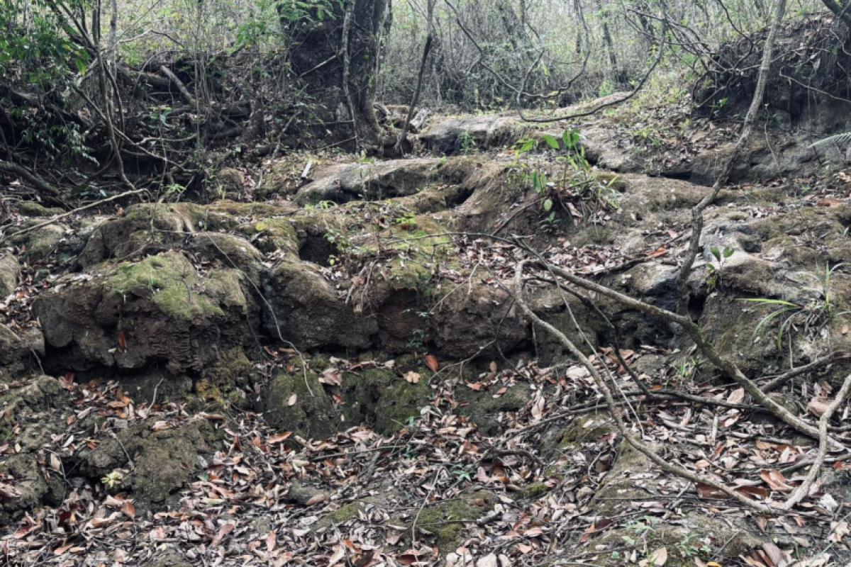 Neste espaço deveria estar correndo um rio