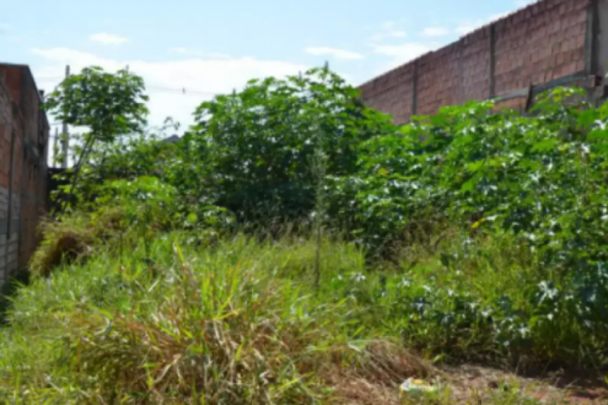 Terreno abandonado em Franca