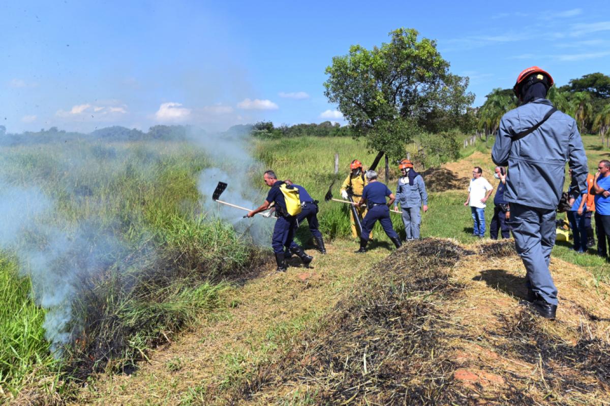 Defesa Civil registra queda expressiva nos focos de incêndio e aponta 2025 como um ano de estiagem mais curto, mas com picos de calor intenso.