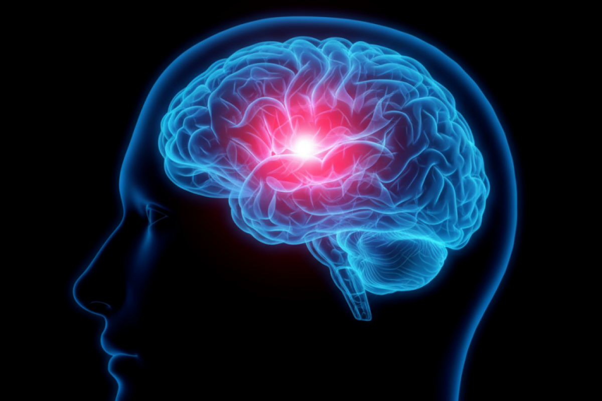 Dançar, pintar, cantar e outras atividades ajudam a 'envelhecer lentamente' o cérebro, segundo pesquisa publicada na revista Nature Communications