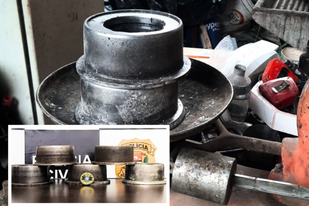 As peças foram apreendidas e devolvidas ao proprietário. 