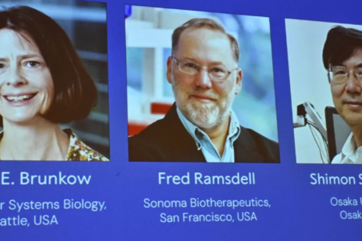 Trio desvenda como corpo evita se autoatacar, abrindo novas terapias.