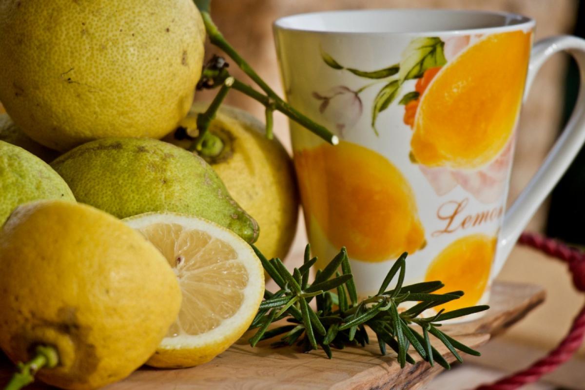 Chá de alecrim com limão: estímulo natural para circulação cerebral, memória e imunidade.