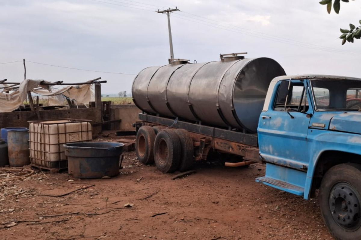Defesa Agropecuária de Campinas atua em operação contra adulteração de leite em propriedades rurais do interior paulista.