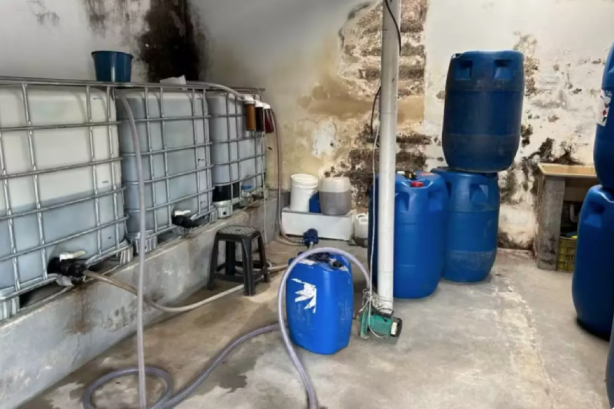 As análises apontaram inconsistências na procedência dos produtos.