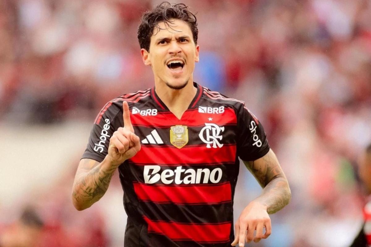 Pedro foi o destaque do Flamengo na partida contra o Palmeiras