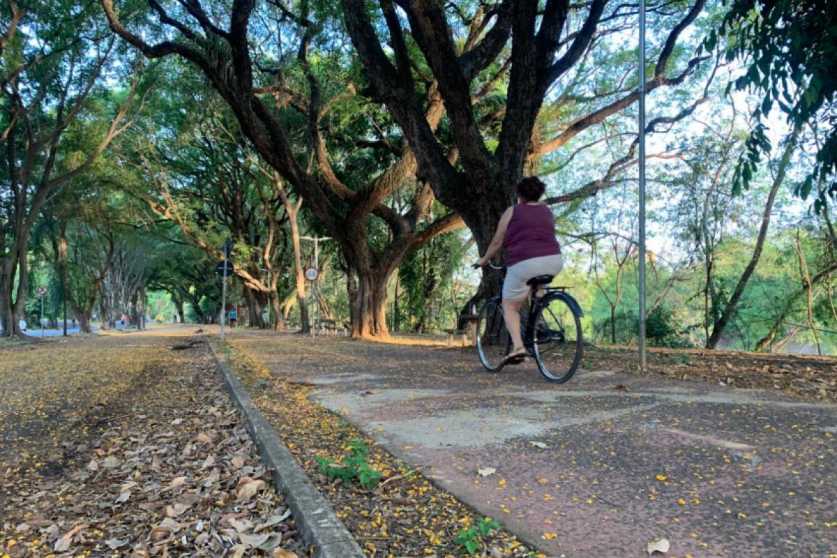 A maior ciclovia da cidade está na avenida Cruzeiro do Sul, com 6 km de extensão