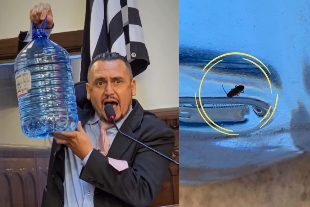 Junior Lokadora mostrou o galão de 10 litros, com mosquito, na Câmara de Bauru