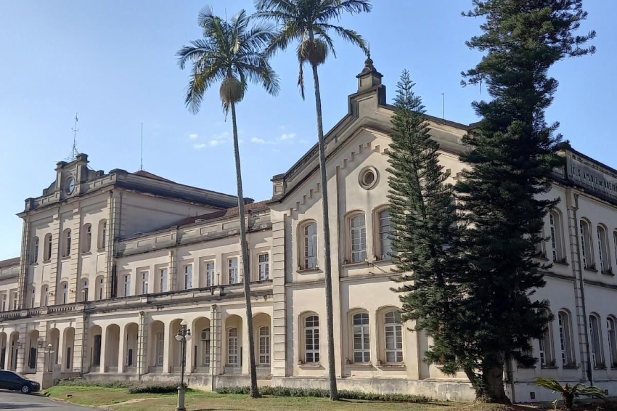 Pedro Henrique Santin Brancalion é o primeiro docente brasileiro a receber a premiação