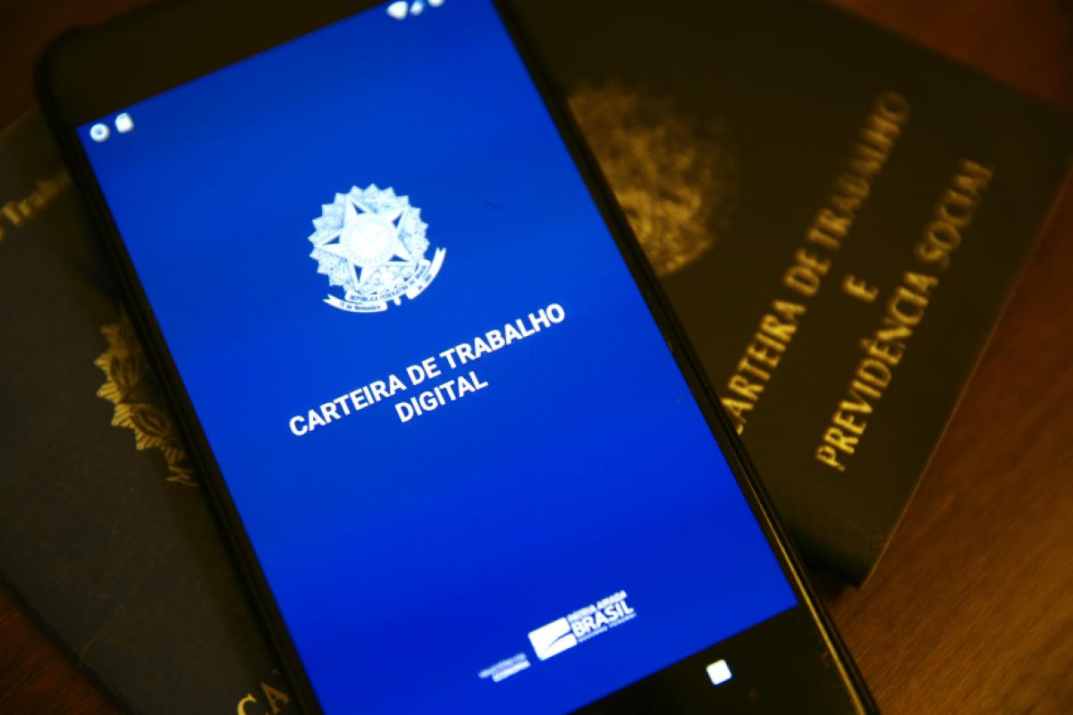 As oportunidades abrangem desde funções que exigem apenas alfabetização até cargos para profissionais com formação técnica ou superior