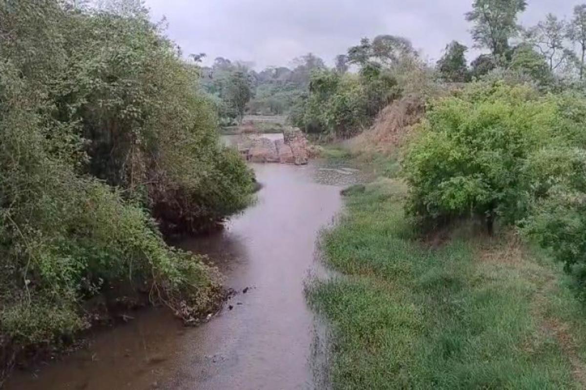 Trecho do rio Batalha antes da lagoa de captação do DAE de Bauru