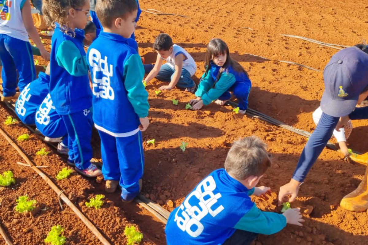 Ao todo, cinco projetos da Rede Municipal de Ensino estão concorrendo a premiações
