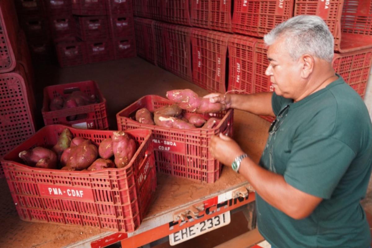 Alimento será destinado ao Fundo Social de Solidariedade e ao programa Sesc Mesa Brasil, beneficiando famílias de Araçatuba e outras cidades
