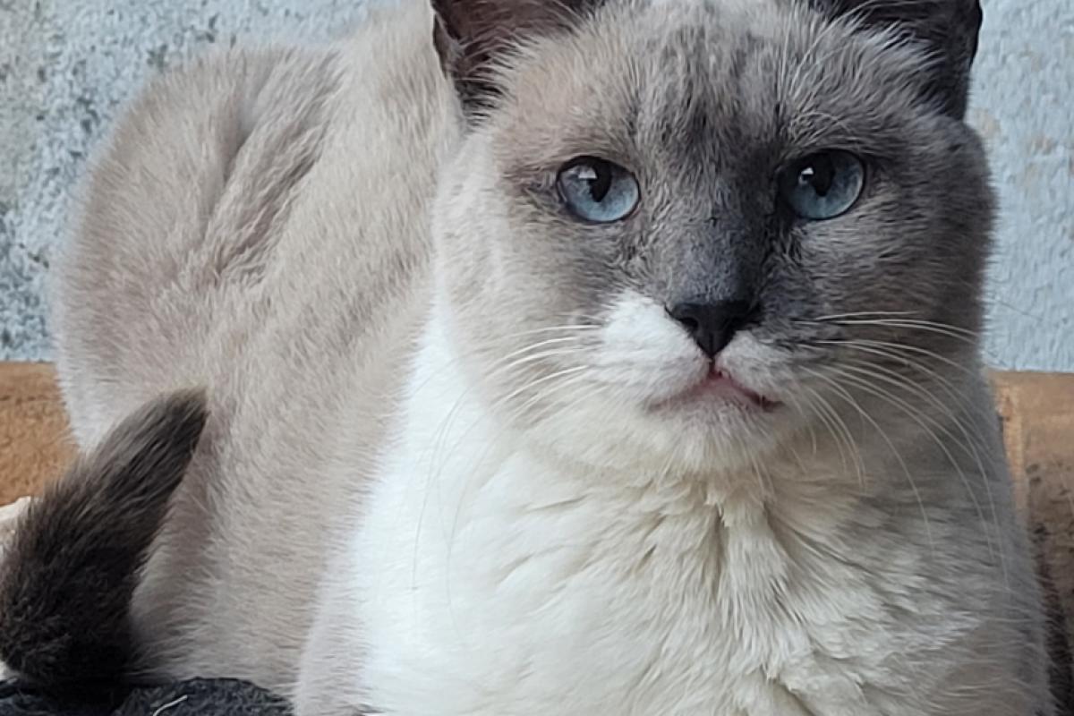 A OnG realiza uma média de 20 a 30 doações por mês