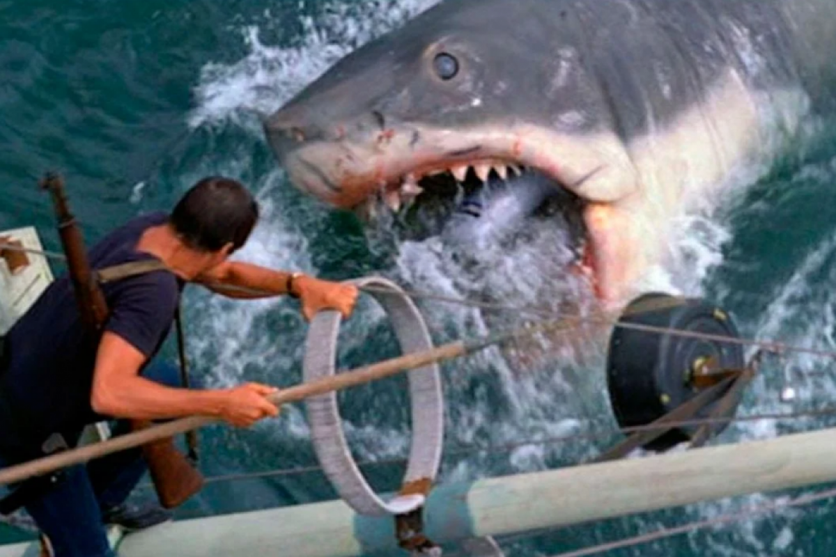 Tubarão, clássico de 1975, retorna para as telas do cinema.