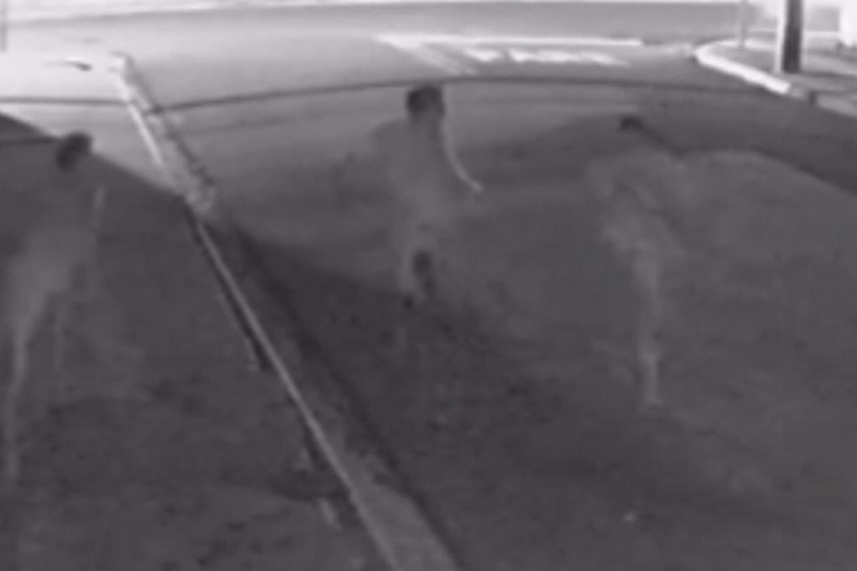 Momento antes do atropelamento, câmeras flagraram os dois indivíduos correndo atrás da vítima