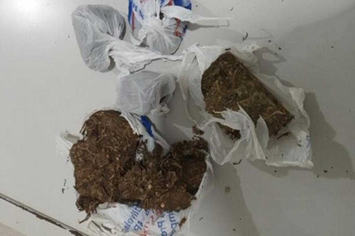 Polícia Militar apreendeu cerca de 240 gramas de maconha após denúncia de comércio de entorpecentes, no Jardim Alvorada