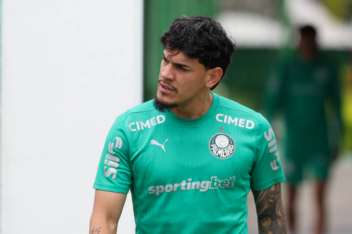 O paraguaio Gustavo Gómez é um dos desfalques do Palmeiras