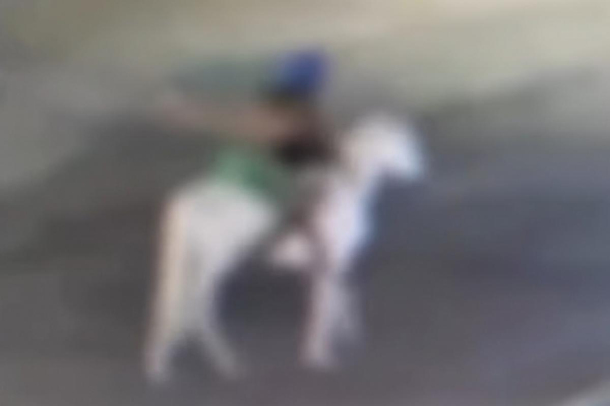 Homem foi flagrado por câmeras de segurança carregando uma mulher desacordada em um cavalo branco