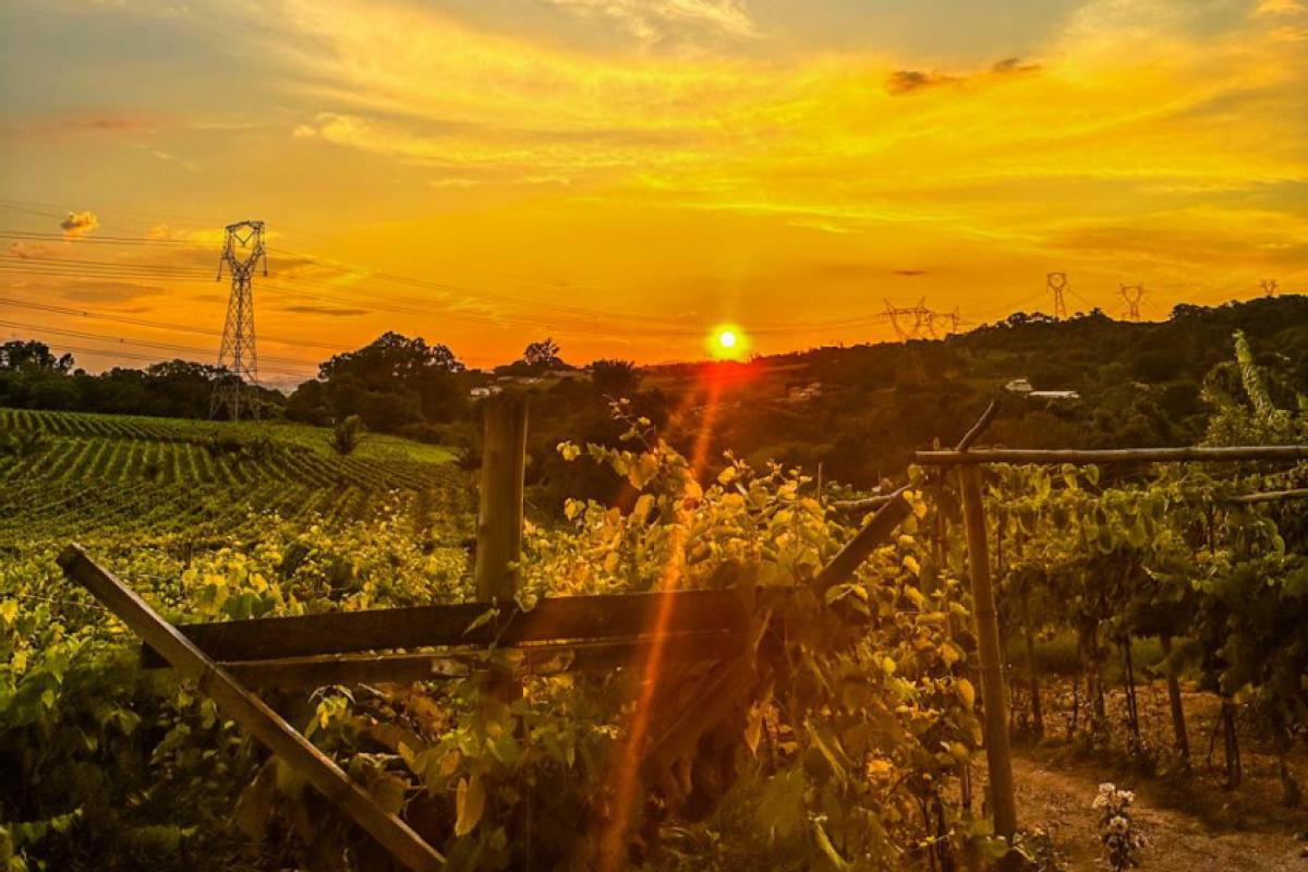 Bella Mattina oferece opções de comida e lazer para todas as idades