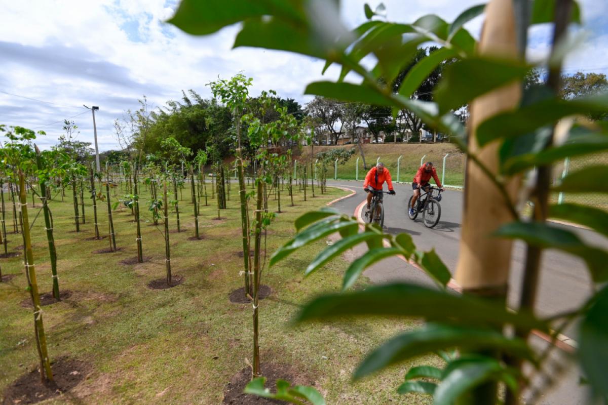 Vereadores votam nesta segunda-feira projetos do Executivo sobre atualização do cadastro imobiliário e implantação de microflorestas urbanas em Campinas.