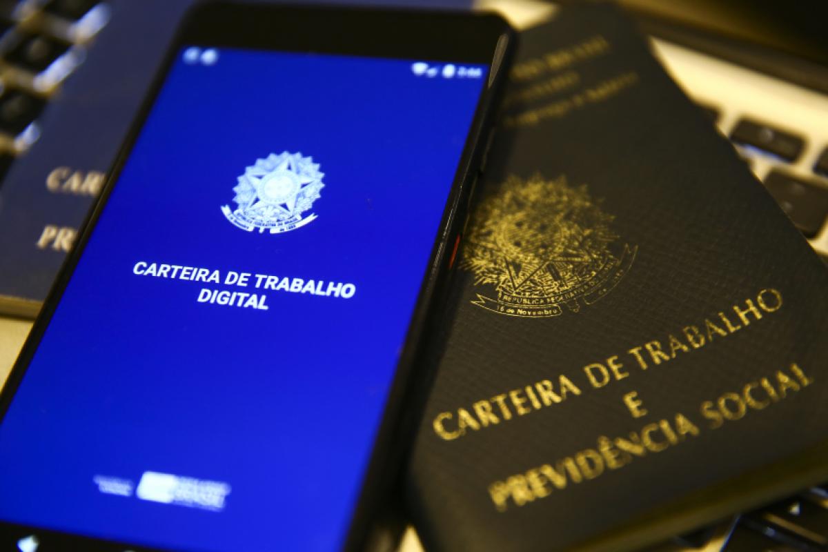 As oportunidades abrangem diversos níveis de formação. Há vagas para PCD's