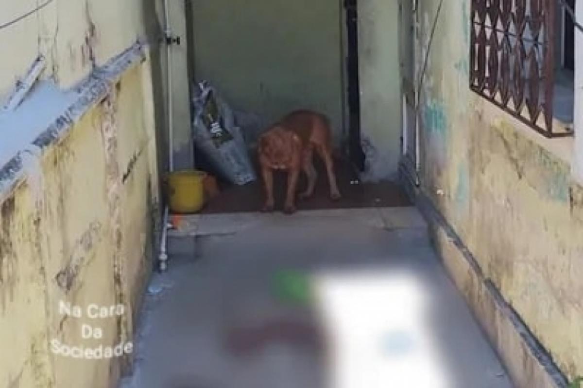  O menino foi socorrido ao Hospital Municipal Francisco da Silva Telles, mas sofreu parada cardiorrespiratória.