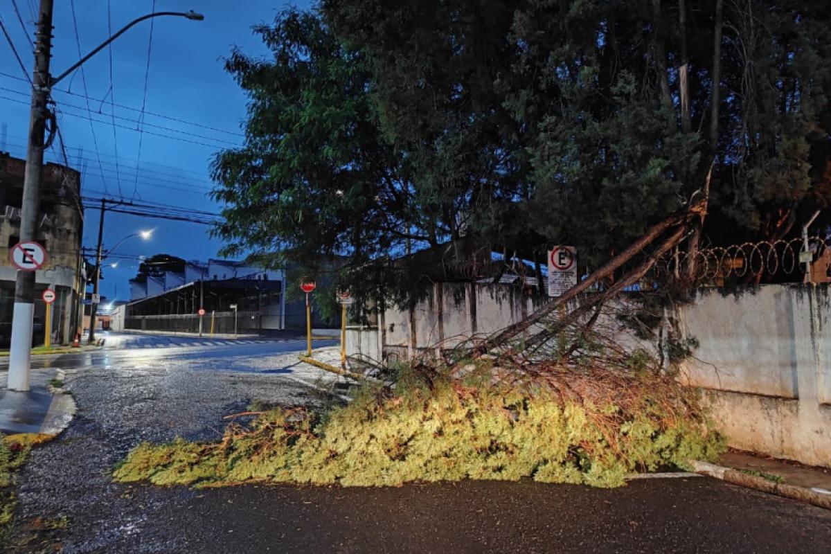 Cruzamento da rua Almeida Branda com a Rodrigues Alves está interditado
