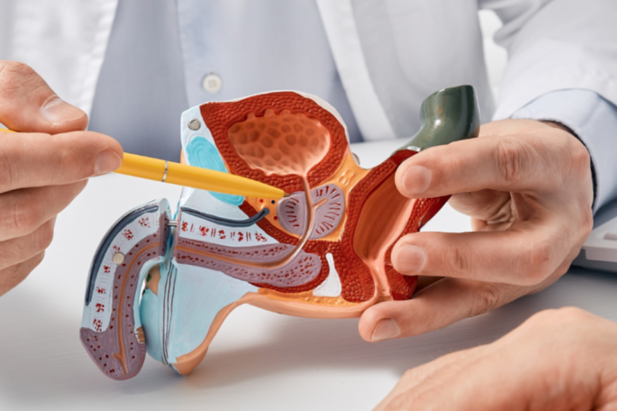 Campanha Novembro Azul conscientiza sobre o câncer de próstata e saúde integral masculina